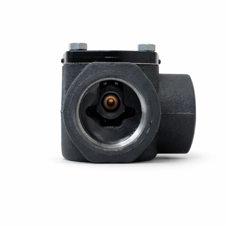zawor-ladujacy-termostatyczny-dn40-pos-i-rp-1-1-2-55c-kvs-17-lk-825-thermovar-2.png